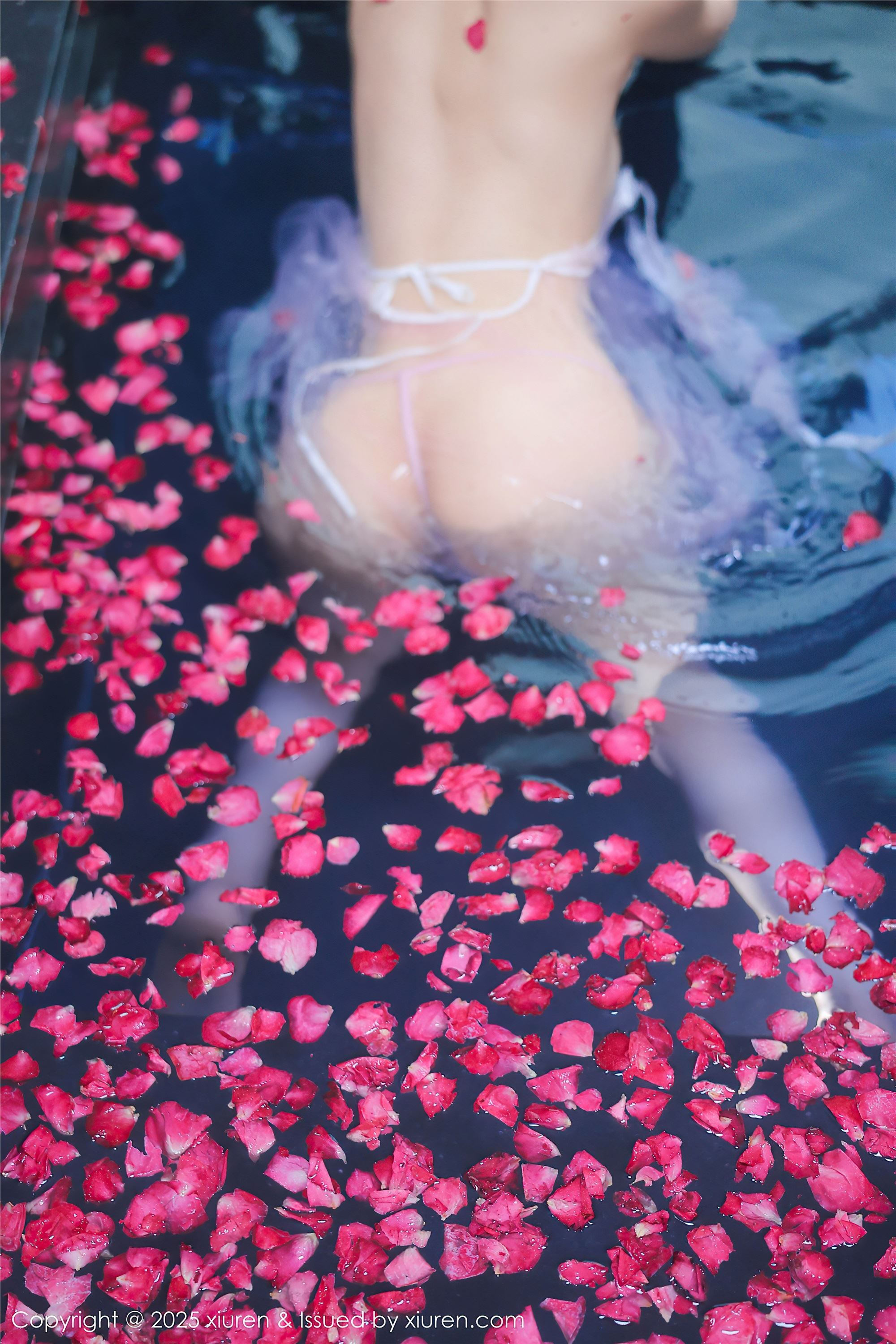 Xiuren秀人网 2025.01.17 NO.9778 桃妖夭